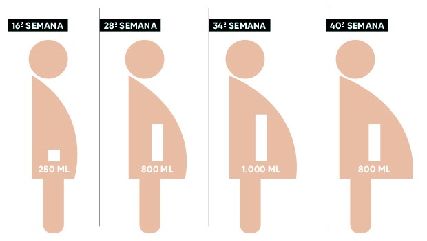 Primeira Gestação: Guia Completo sobre o Líquido Amniótico | Blog Meubbee